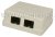 Розетка RJ-45 внешняя двухпортовая Cor-X UC-2208B